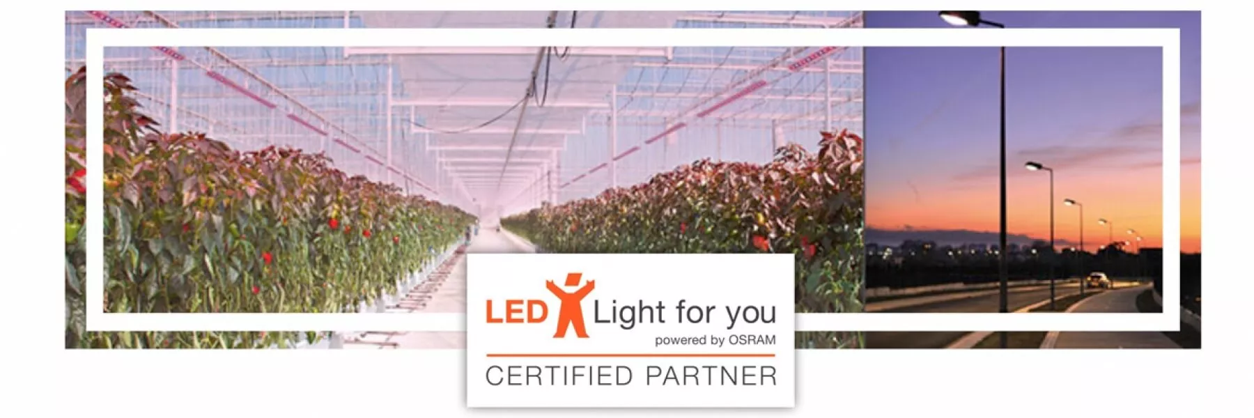 You Are Our Invited At LLFY Workshop To Be Held In Israel